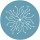 Docteur Claes Neurologue